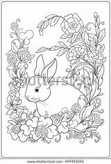 Hare Stress Anti Coloring Vector Garden Book sketch template