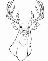 Deer Coloring Pages Head Hunting Printable Realistic Outline Hunter Drawing Reindeer Elk Print Color Whitetail Animal Getcolorings Getdrawings Colouring Kids sketch template
