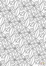 Coloring Pattern Floral Pages sketch template