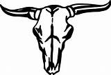 Skull Cow Longhorn Clipart Bull Outline Texas Clip Head Steer Pages Cattle Coloring Cliparts Decal Decals Line Longhorns Svg Vinyl sketch template