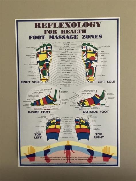 Reflexology For Health Foot Massage Zones Poster A Detailed
