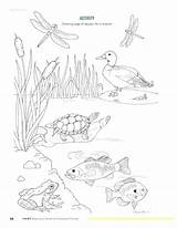 Pond Coloring Pages Animals Color Frog Getdrawings Printable Getcolorings Print sketch template