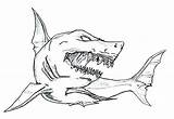 Shark Megalodon Pages Coloring Drawing Goblin Sketch Whale Color Bull Sharks Paintingvalley Drawings Template Getdrawings sketch template