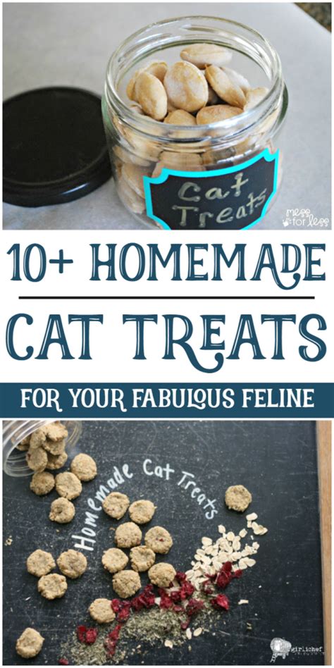 10 Homemade Cat Treats For Your Fabulous Feline Crazy Cat Lady