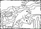 Ocean Coloring Pages Habitat Color Getcolorings Scene Colori Printable Underwater sketch template
