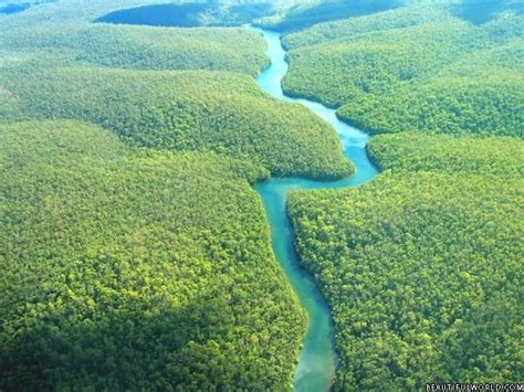 amazon rainforest facts amazon rain forest map information travel guide