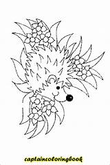Hedgehogs Coloring Plus Google Twitter sketch template