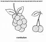 Vietnam Coloring Pages Colouring Fruit Dragon Map sketch template