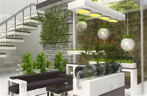 design  successful indoor garden  steps  pictures