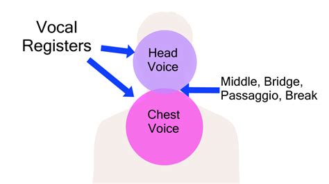 singing voice types find