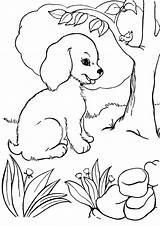 Cachorrinhos sketch template