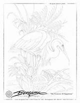 Coloring Pages Jody Bergsma Drawings Animal Adult Drawing Painting Quilts Scratchboard Bird Fabric Asian Books sketch template