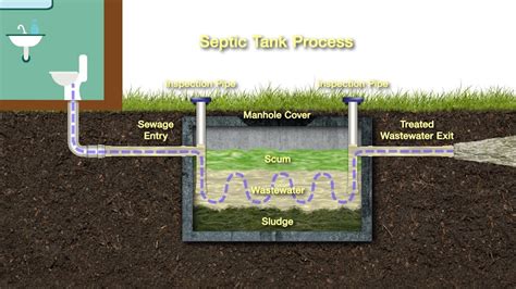 how to maintain your septic system safely youtube