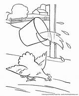 Coloring Pages Chicken Kids Farm Animal Water Chickens Honkingdonkey Bucket Library Clipart Popular Sketch Comments sketch template