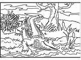 Coloring Pages Croc Getcolorings Crocodile sketch template