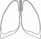 Lung Lungs Outline Clipart Clip Clear Human Cliparts Template Kidney Clker Background Small Drawing Coloring Transparent Vector Line Respiratory Library sketch template