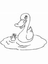 Duck Coloring Baby Mother Ducks Pages Drawing Printable Duckling Supercoloring Clipart Color sketch template