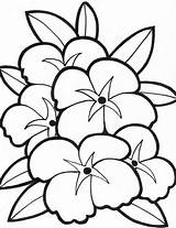 Coloring Pages Simple Flower Clipart Designs sketch template