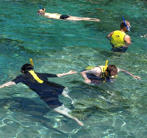 learnt  discovery cove orlando mums  travel