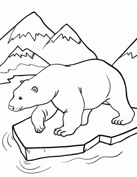 printable polar bear coloring pages everfreecoloringcom