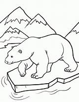 Polar Bear Coloring Pages Animals Arctic Printable Sheets Sheet Drawing Print Kids Animal Colouring Bears Book Draw Pdf Template Outline sketch template
