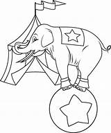 Elefante Circo Colorear Equilibrista Elefantes Circus Tudodesenhos Elephant Clown Vivem sketch template