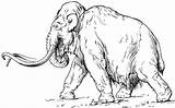 Age Mammoth Animals Coloring Cenozoic Era Stone Woolly Animal Old Elephas Ice Pages Gif Search Men Again Bar Case Looking sketch template
