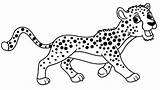 Guepardo Cheetah Geparden Coloring Getdrawings Step Gepard Ausdrucken Dibujosonline sketch template