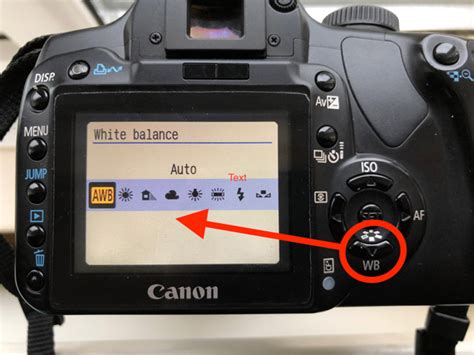 white balance explained    accurate colors