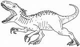 Dinossauro Dinossauros Desenho Moldes sketch template
