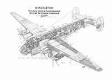 Avro Cutaway Shackleton Cutaways Airplanes sketch template