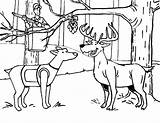Deer Mistletoe Coloringsky sketch template