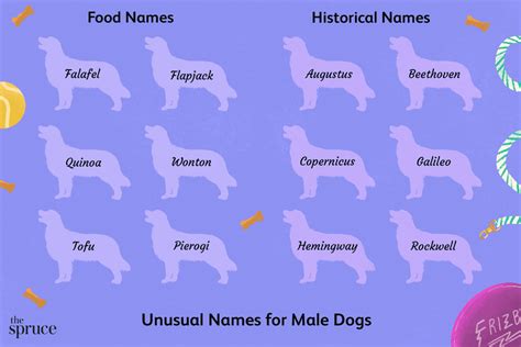 unusual male dog names