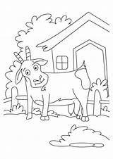 Coloring Billy Goats Gruff Three Pages Goat Popular Library Clipart Coloringhome sketch template