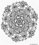 Coloring Pages Adults Printable Advanced Adult Colouring Sheet Sheets Mandala Dragon Print Large Hard Color Mandalas Popular Library Clipart Flowers sketch template