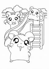 Coloring Pages Cute Hamster Hamtaro Kids Hamsters Ham Printable Friends Choose Board Popular Animal Cartoon sketch template