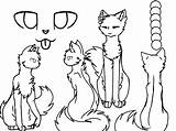 Cats Warriors Coloring Pages Anime Printable Wonder sketch template