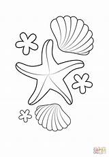 Seestern Starfish Ausmalbild Shells sketch template