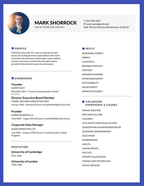resume templates word  experienced professionals