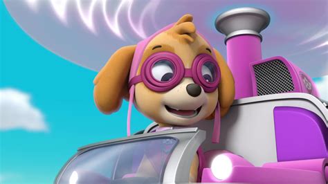 skye the cockapoo skye paw patrol photo 40719616 fanpop