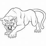 Panther Drawing Animal Coloring Pages Spiderman Kids Pantera Drawings Outline Print Draw Dibujo Easy Panthers Colouring Negra Printable Head Angry sketch template