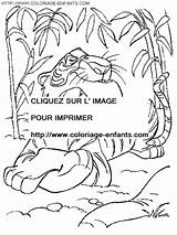 Coloring Jungle Book Pages sketch template