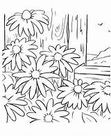 Spring Coloring Pages Color Scene Season Sheets Bluebonnet Scenes Flower Nature Activity Dementia Drawing Kids Activities Printable Bluebonkers Flowers Choose sketch template