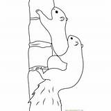Squirrel Coloring Eastern Gray Tree Pages Coloringpages101 sketch template