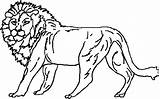 Narnia Colorat Witch Leu Animale Aslan Salbatice Cu Planse Desene Narasimhar Mancare Trafic Lakshmi sketch template