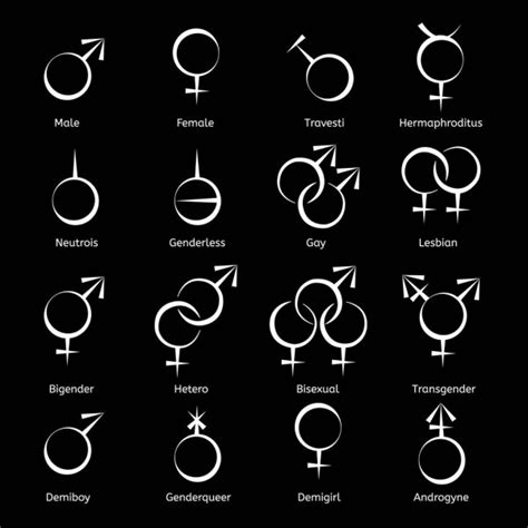 vector outlines icons of gender symbols — stock vector