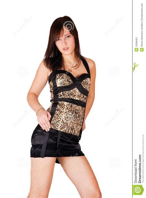 Cute Brunette Girl In Leopard Sexy Dress Isolated Stock