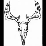 Skull Deer Tattoo sketch template