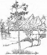 Coloring Pages Yellowstone National Park Teton Landscape Book Printable Range Woods Vacation Kids Nature Realistic Color Drawing Parks Pencil Adult sketch template