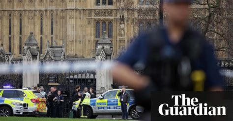 Mps Raise Concerns About Parliamentary Security After Attack Uk News